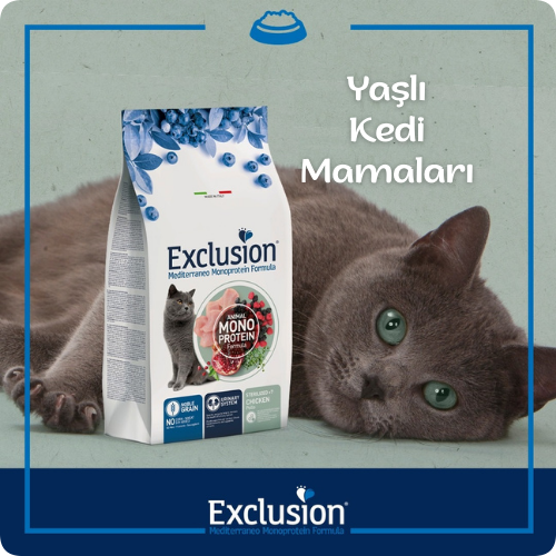 exclusion-yaşlı-kedi-maması.png (393 KB)