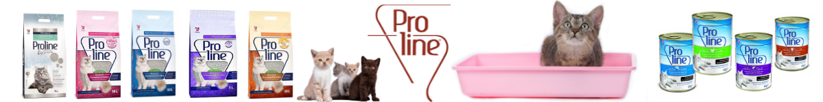proline.png (209 KB)