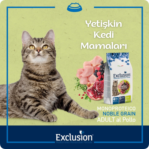 exclusion-yetişkin-kedi-maması.png (428 KB)